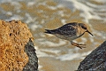 22 01 15_0901_edited-1